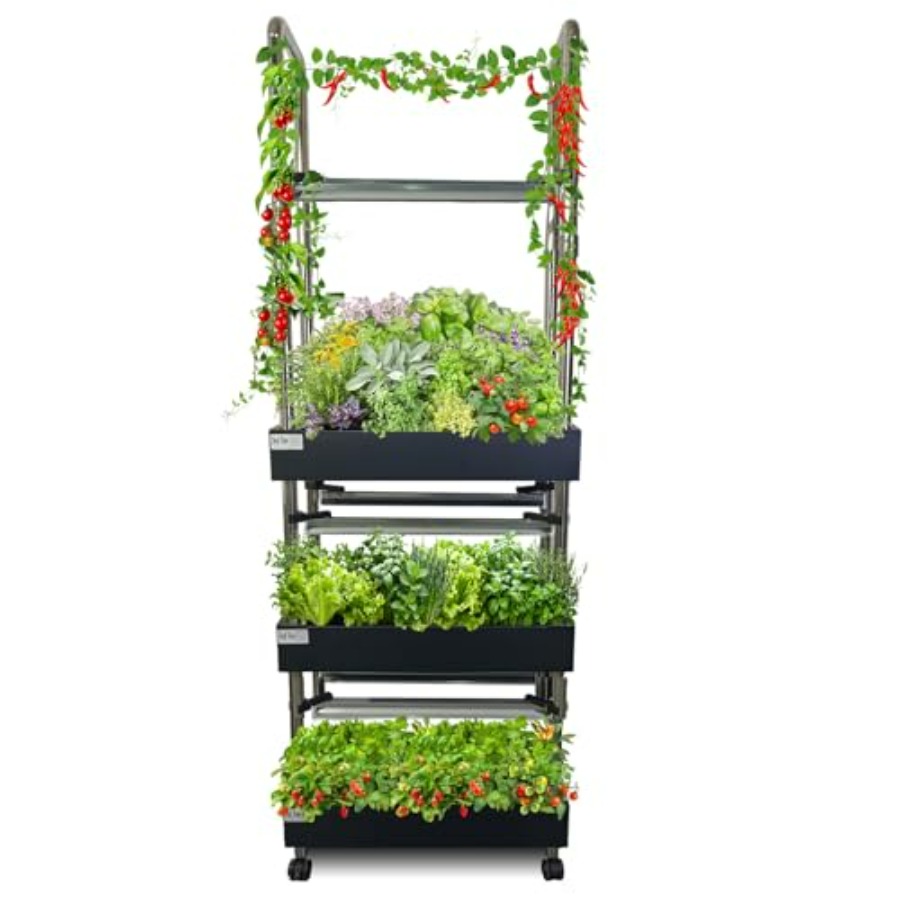 Smart Garden Water - Système de culture hydroponique intérieur :