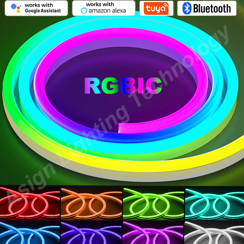 Smart Garden Led Lights - RGBIC LED bande néon 12V 96LED
