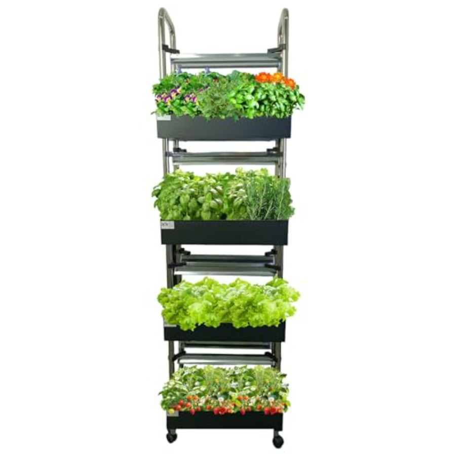 Smart Garden Water - Système de culture hydroponique intérieur :
