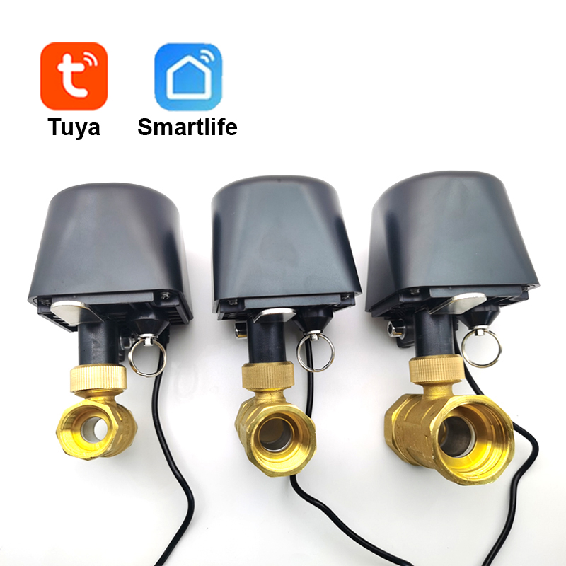 Smart Garden Tap - Tuya WiFi ou Zigbee vanne d'eau